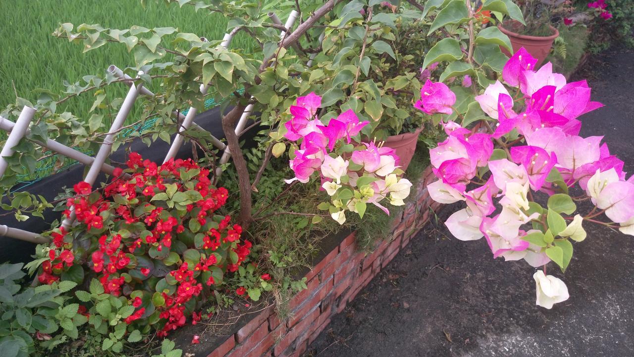 Yilan Tinto B&B מראה חיצוני תמונה